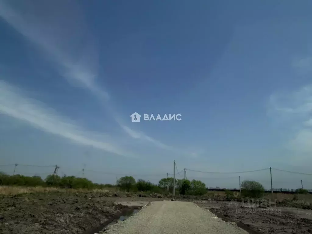 Участок в Приморский край, Уссурийский городской округ, с. Борисовка ... - Фото 2