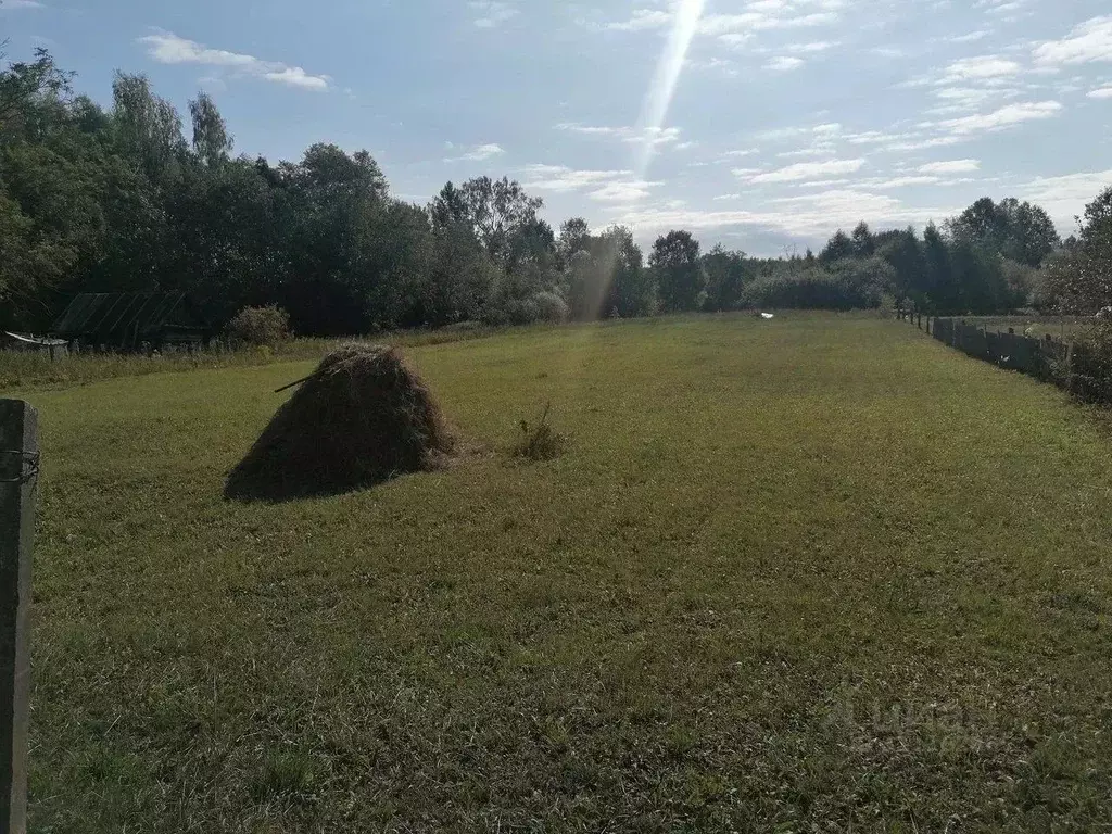 Участок в Ленинградская область, Лужский район, Володарское с/пос, д. ... - Фото 1