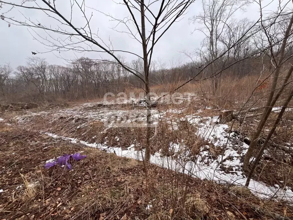 Участок в Приморский край, Фокино пл. ДОФ (20.0 сот.) - Фото 1