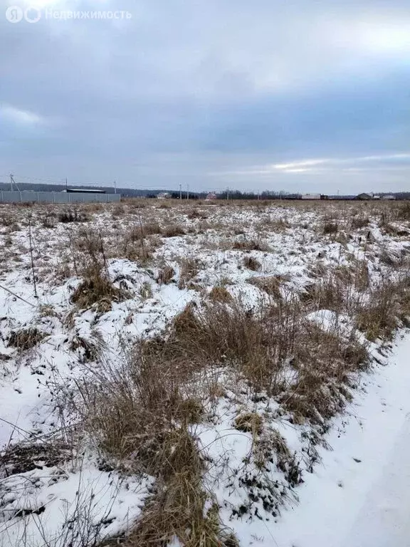 Участок в Московская область, муниципальный округ Чехов, деревня ... - Фото 1