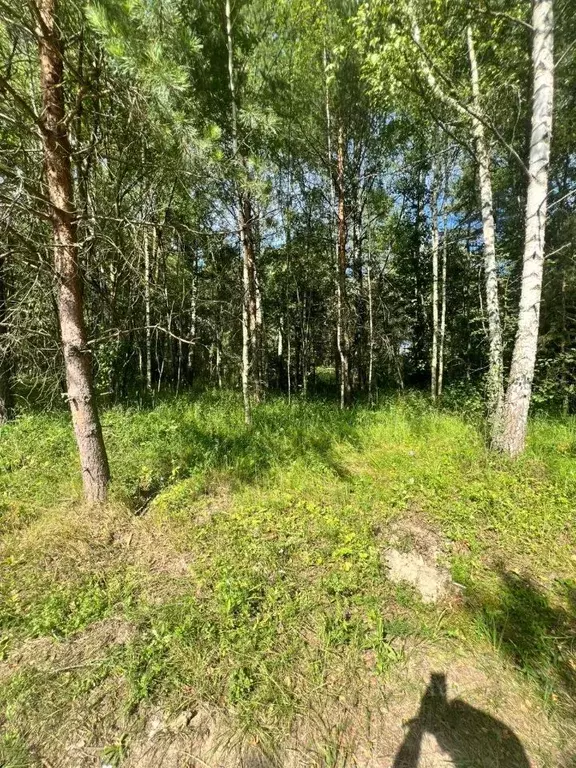 Участок в Владимирская область, Киржачский муниципальный округ, д. ... - Фото 2