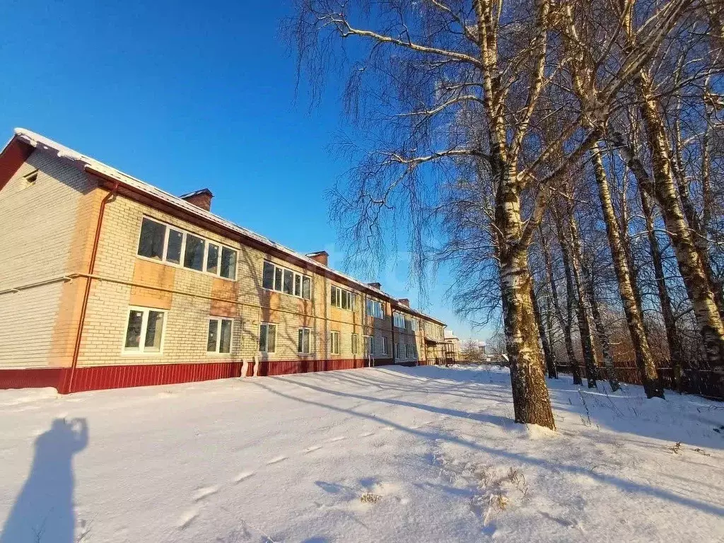 3-к кв. Вологодская область, Шекснинский муниципальный округ, д. ... - Фото 2