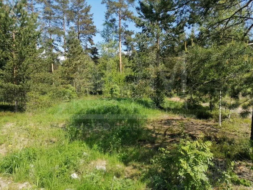 Участок, 12 сот., 0 - Фото 0
