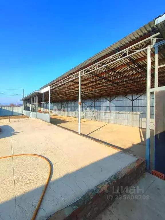 Участок в Краснодарский край, Усть-Лабинск Звездная ул. (5.0 сот.) - Фото 1