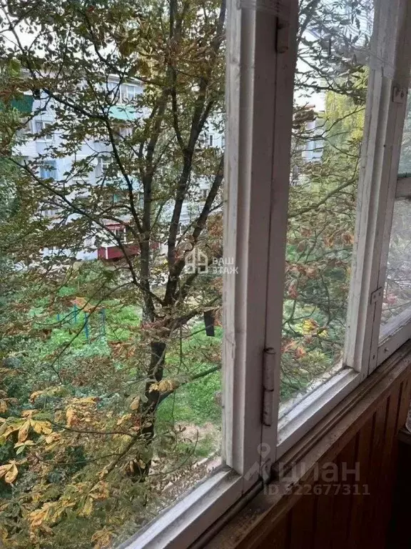 2-к кв. Калужская область, Калуга ул. Никитина, 36 (45.2 м) - Фото 2