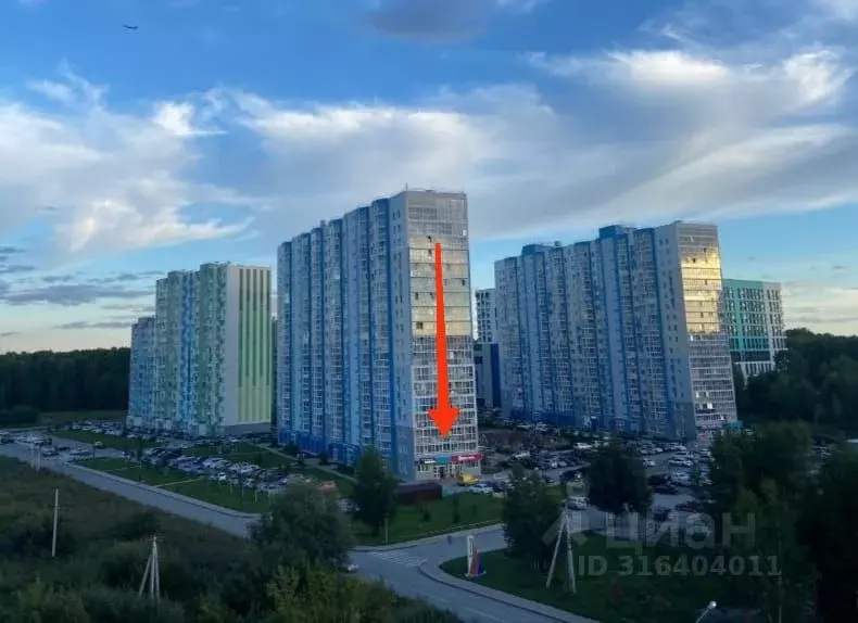 Торговая площадь в Новосибирская область, Новосибирск ул. Александра ... - Фото 0