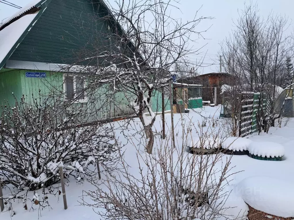 Дом в Свердловская область, Белоярский муниципальный округ, пос. ... - Фото 2