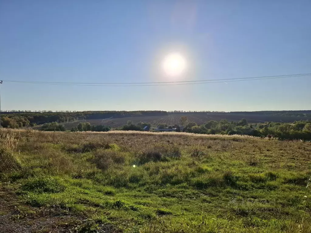 Участок в Татарстан, Лаишевский район, с. Среднее Девятово, ... - Фото 2