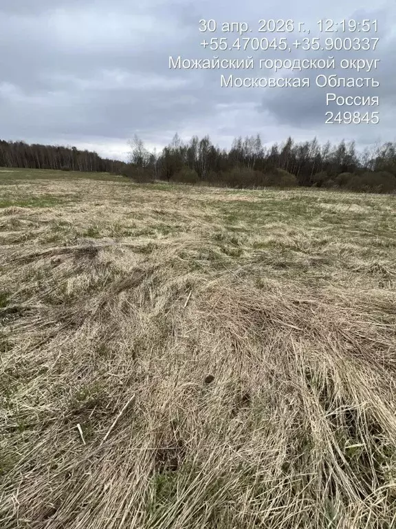 Участок в Московская область, Можайский муниципальный округ, д. ... - Фото 1