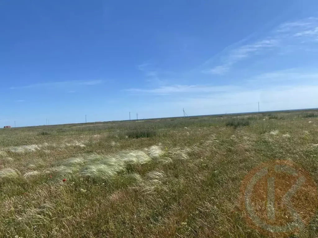 Участок в Крым, Сакский район, с. Молочное  (100.0 сот.) - Фото 1