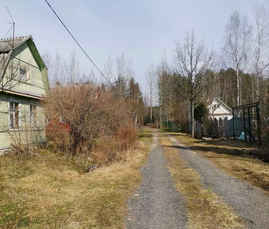 Дом в Ленинградская область, Тосно г. Тосненский район, Тосненское ... - Фото 2
