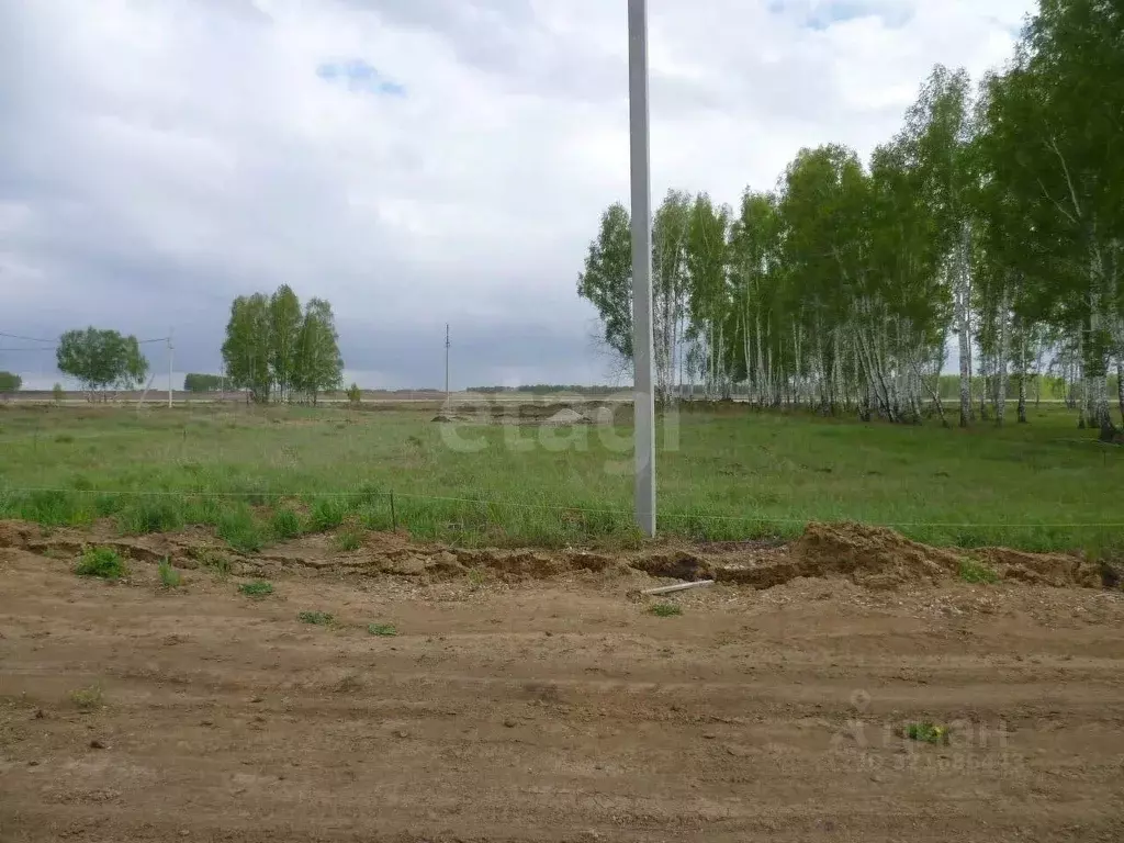 Участок в Новосибирская область, Колыванский район, Озерное садовое ... - Фото 0