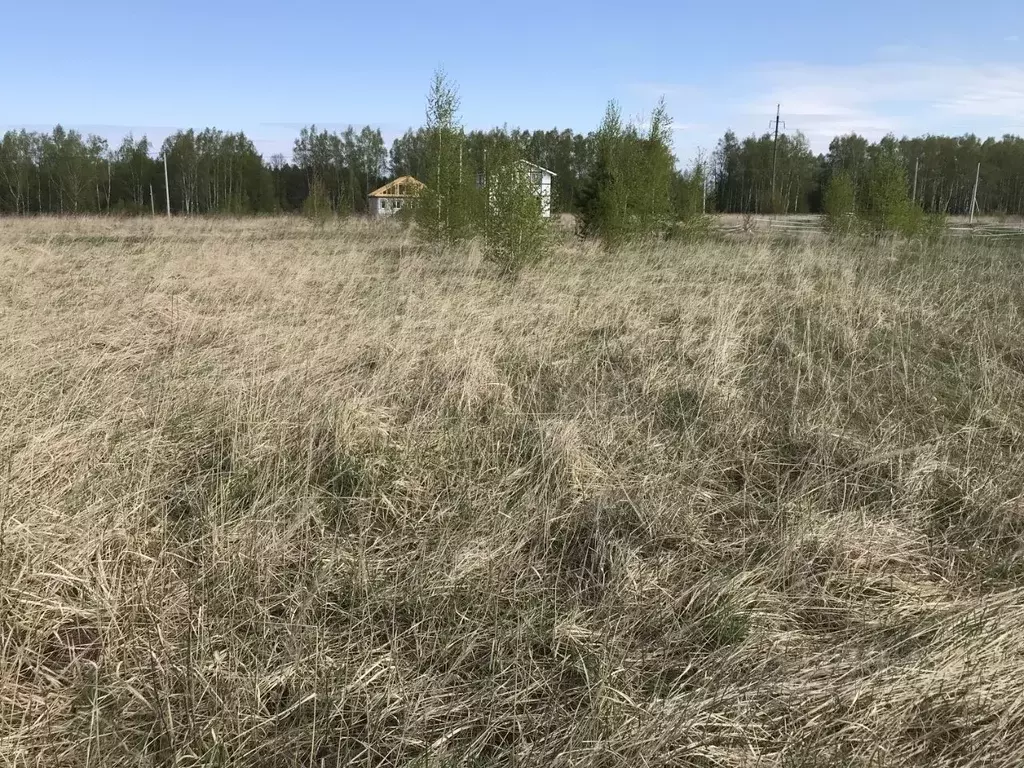 Участок в Нижегородская область, Павлово ул. Мирная (13.0 сот.) - Фото 0