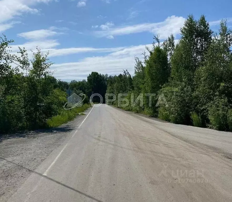 Участок в Тюменская область, Нижнетавдинский район, д. Штакульская  ... - Фото 0