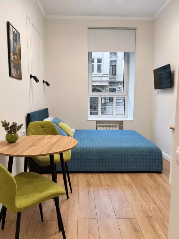 Студия Санкт-Петербург наб. Реки Фонтанки, 38 (17.3 м) - Фото 1
