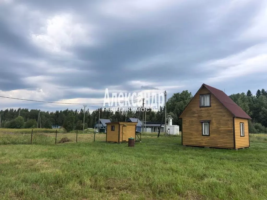 Участок в Карелия, Питкярантский муниципальный округ, Урочище Пелля ... - Фото 1