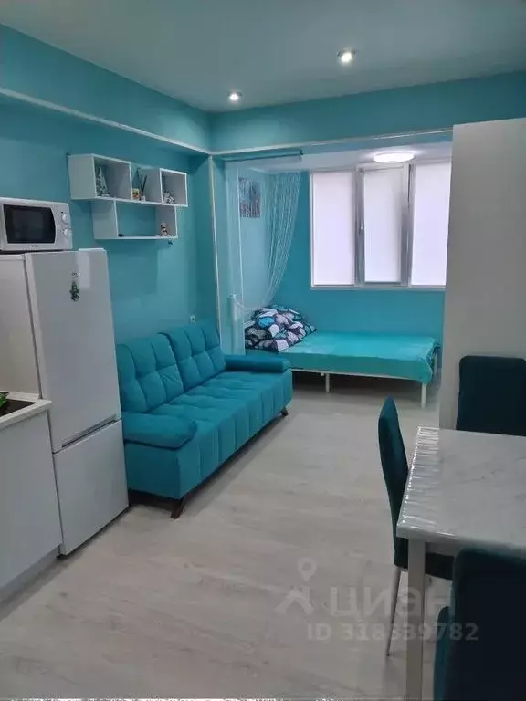 Студия Краснодарский край, Сочи ул. Демократическая, 45 (24.0 м) - Фото 0