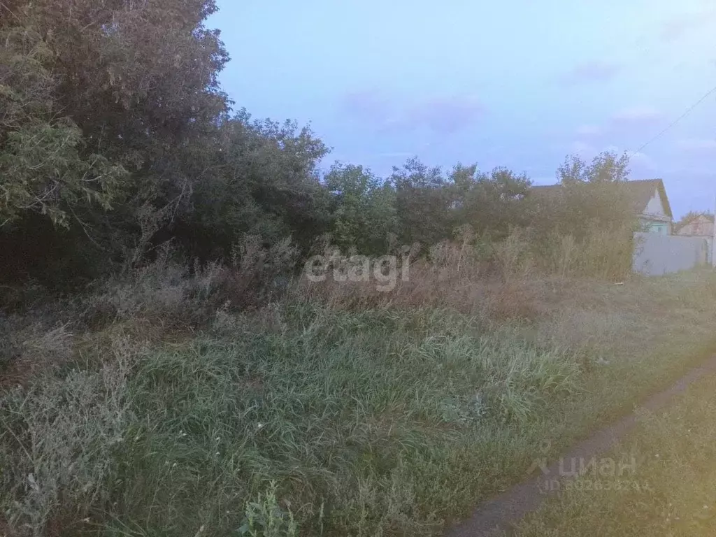 Участок в Саратовская область, Балашовский район, Хоперское ... - Фото 0