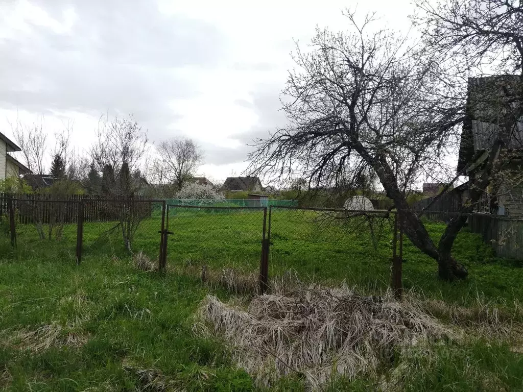 Участок в Новгородская область, Новгородский район, Ермолинское с/пос, ... - Фото 0