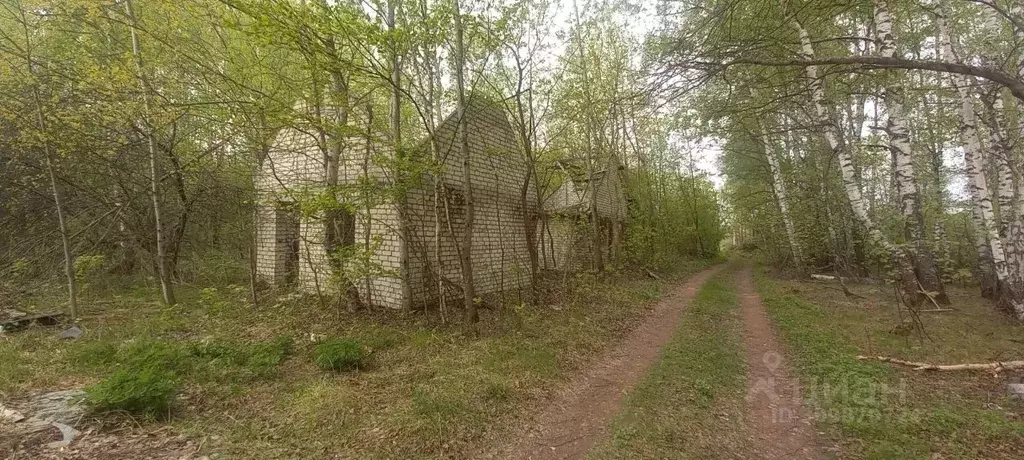 Участок в Нижегородская область, Бор городской округ, д. Петрово, ... - Фото 0