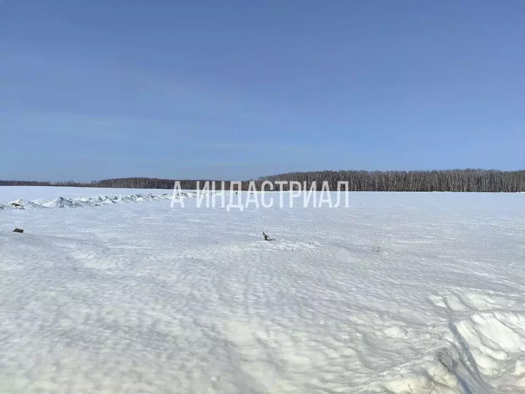 Участок в Московская область, Домодедово Белые Столбы мкр,  (35.0 ... - Фото 1