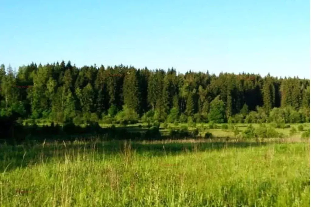 Дом в Свердловская область, Екатеринбург Кургановский дп,  (48 м) - Фото 2