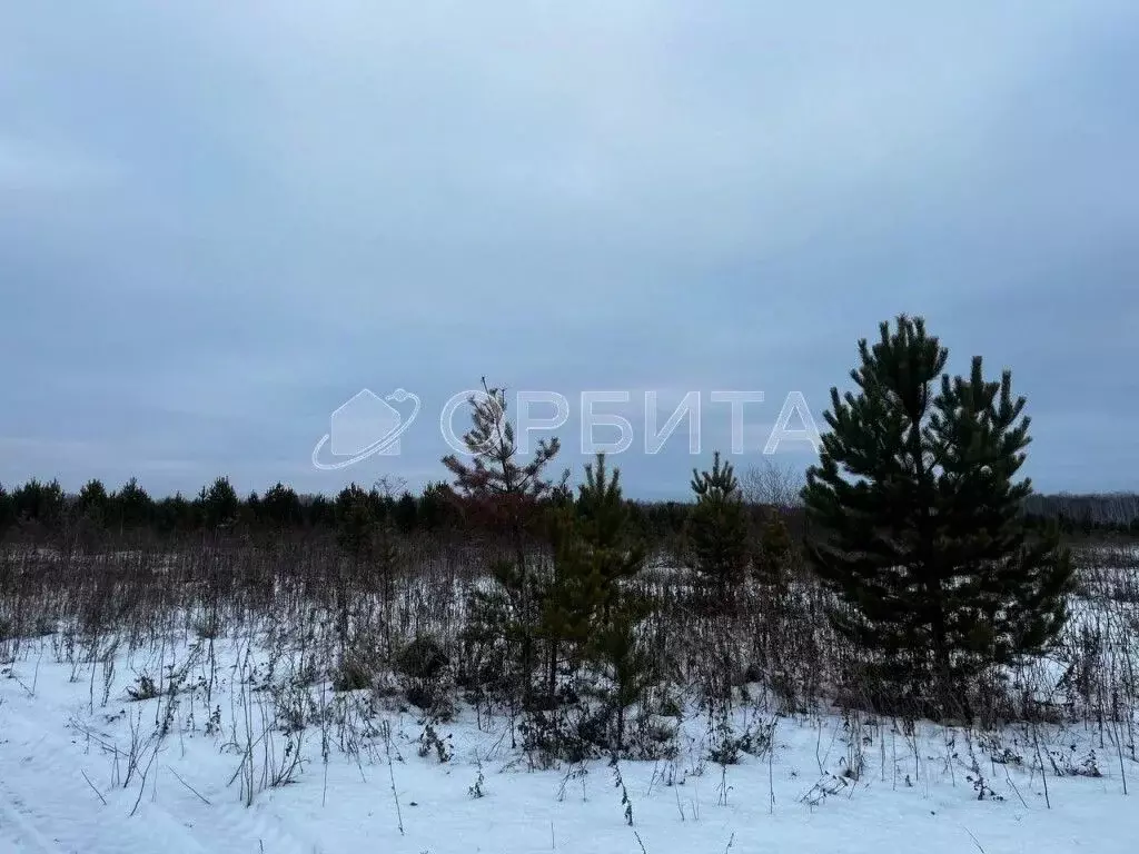 Участок в Тюменская область, Тюменский район, с. Горьковка Сибирская ... - Фото 0