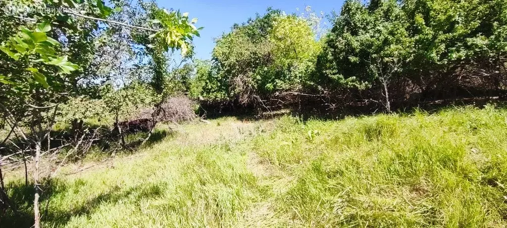 Участок в Волгоград, Советский район, СНТ Наука (6.11 м) - Фото 1