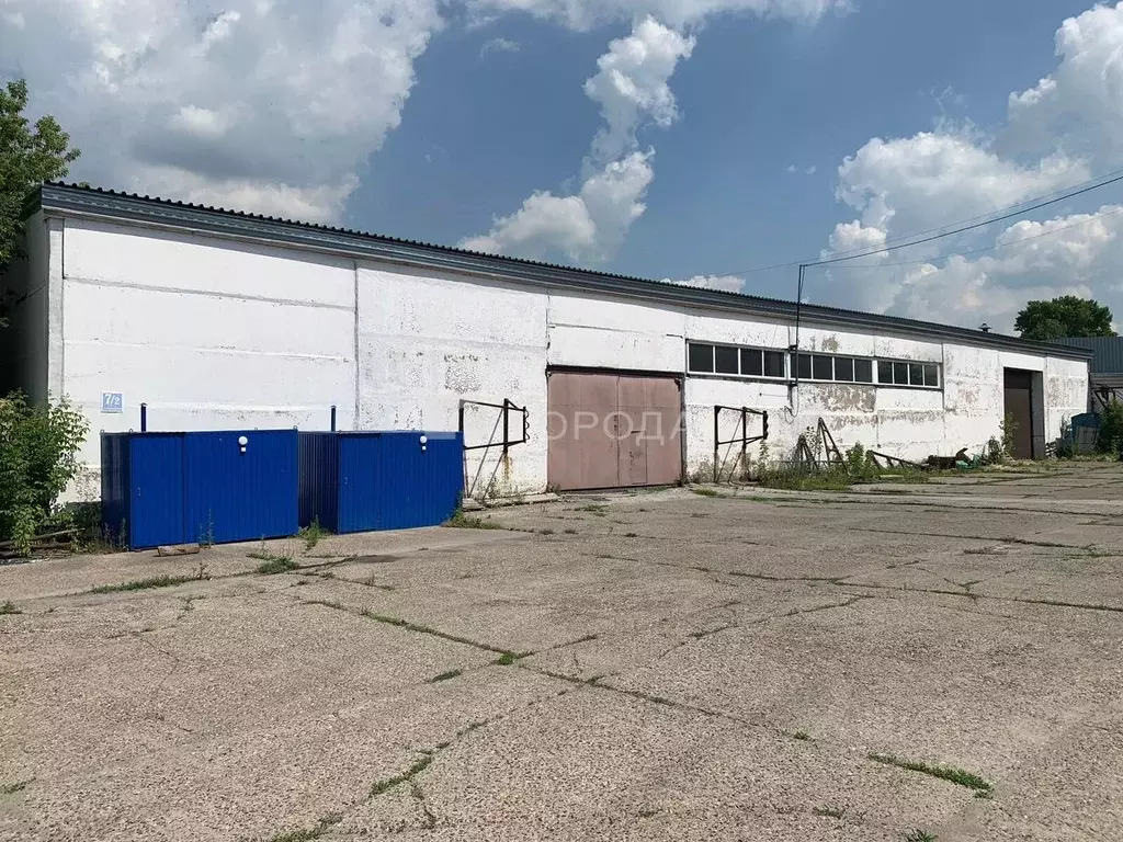 Помещение свободного назначения в Новосибирская область, Новосибирск ... - Фото 1