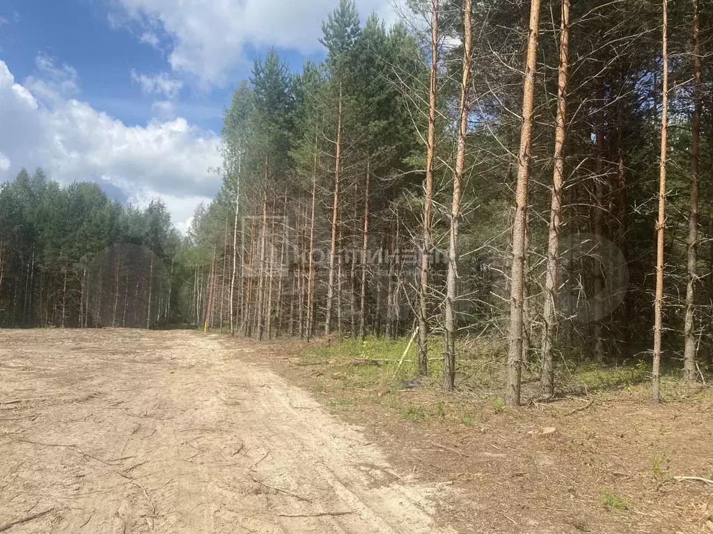 Участок 18,6 сот. (личное подсобное хозяйство (лпх)) - Фото 1