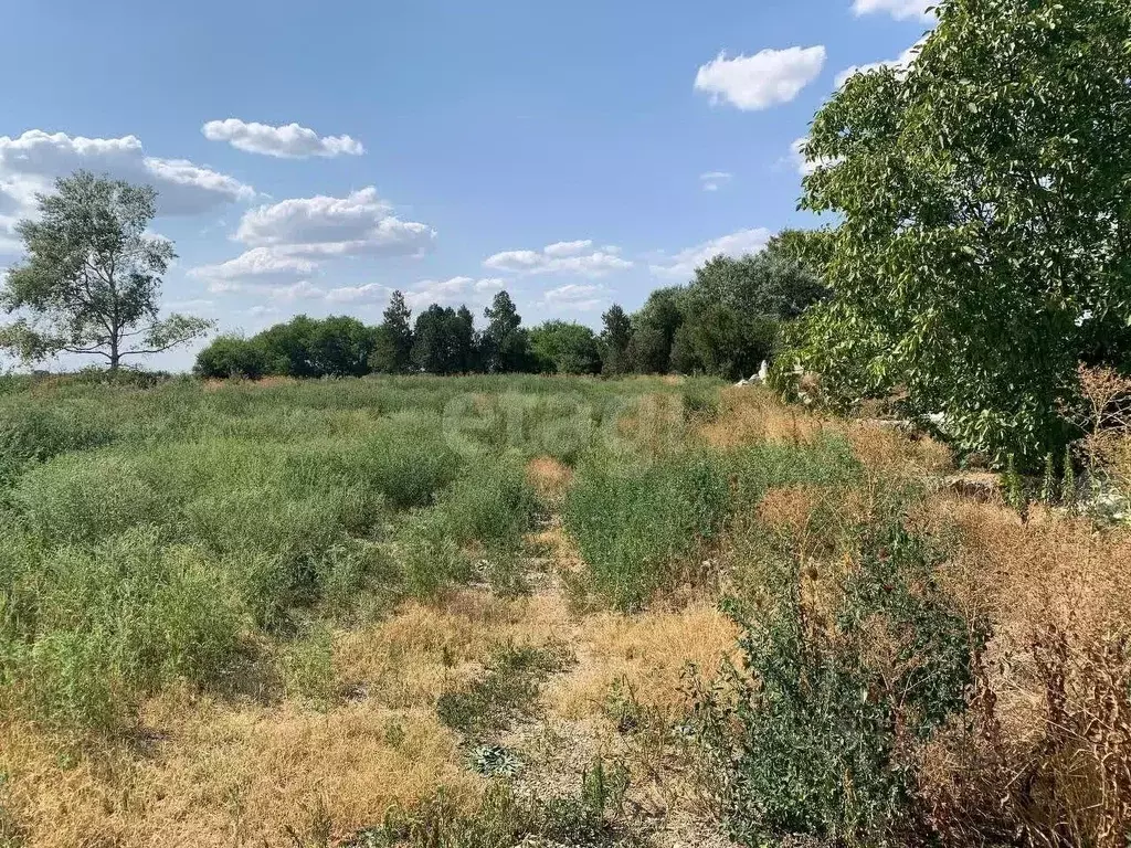 Участок в Адыгея, Майкоп городской округ, пос. Северный  (50.0 сот.) - Фото 1