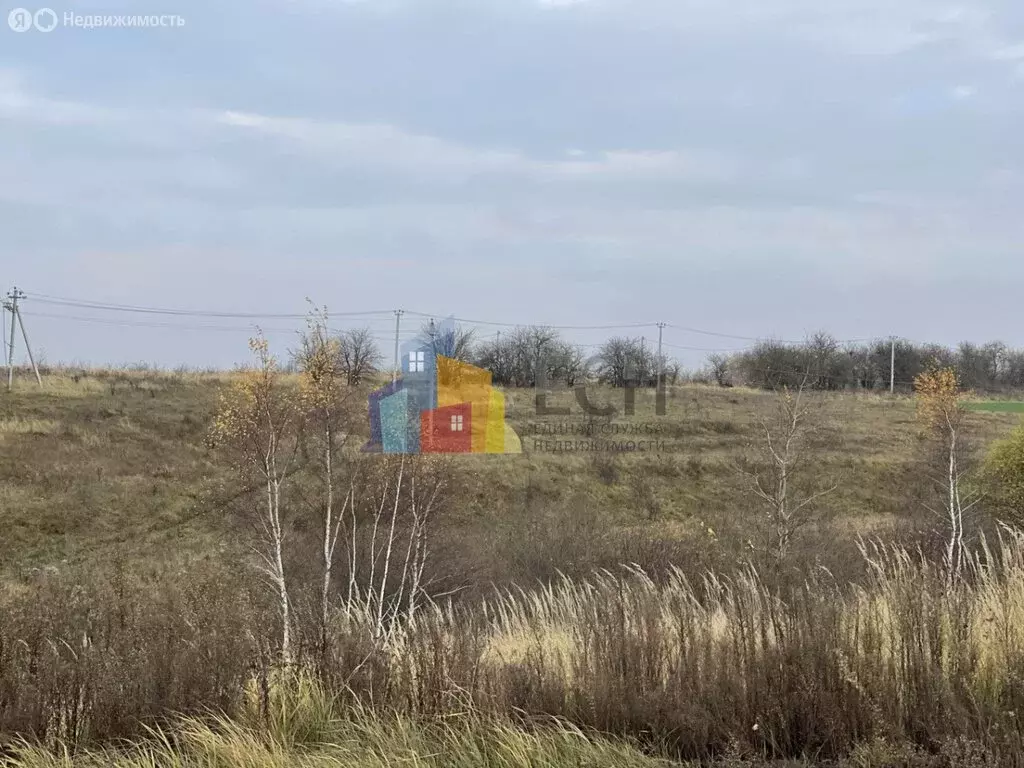 Участок в Заокский район, сельское поселение Демидовское, село ... - Фото 1