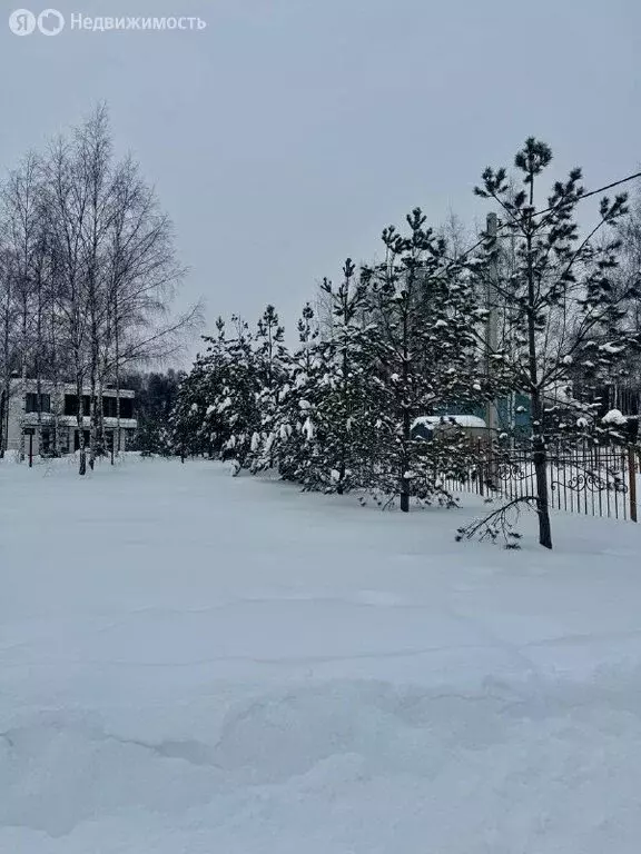 Участок в Московская область, муниципальный округ Чехов, деревня ... - Фото 1