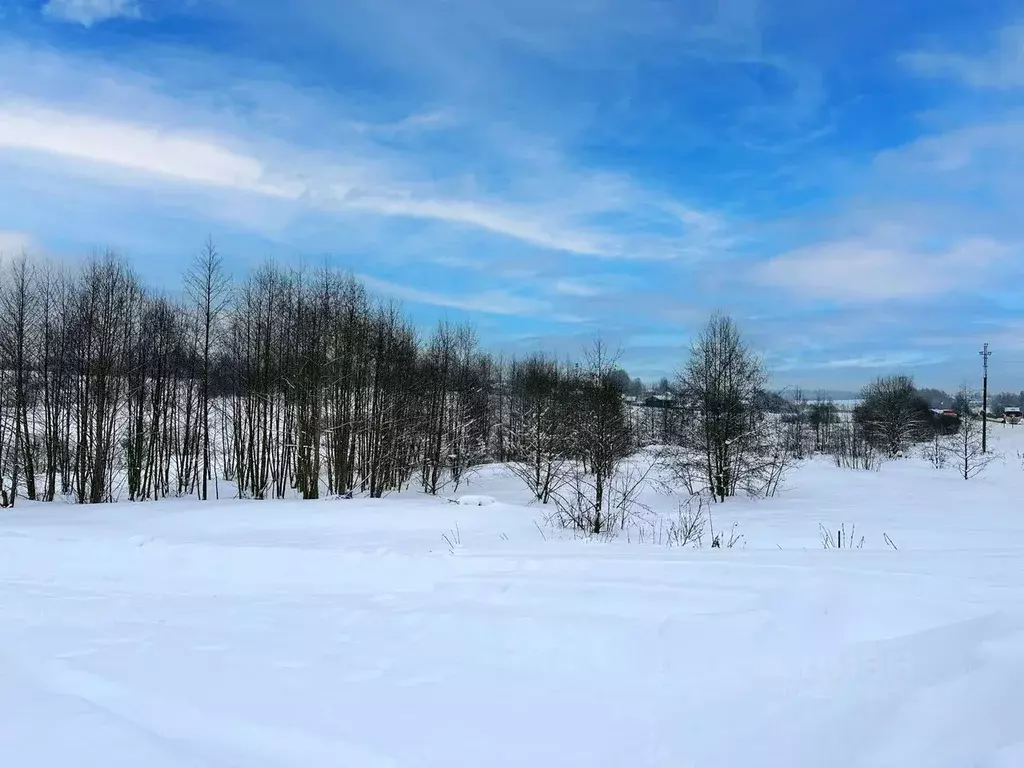 Участок в Московская область, Дмитровский муниципальный округ, Сбоево ... - Фото 2