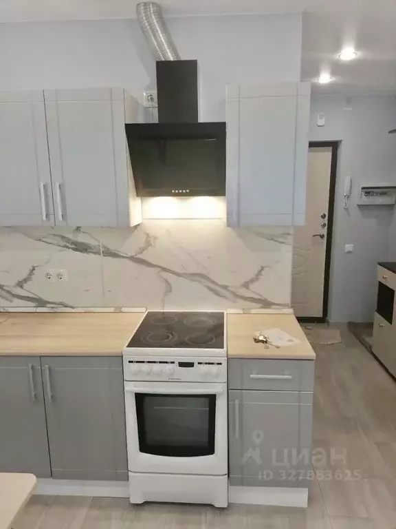 Студия Санкт-Петербург пос. Шушары, ул. Валдайская, 6к2 (26.0 м) - Фото 2