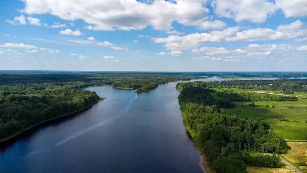 Участок в Ленинградская область, Приозерский район, Ромашкинское ... - Фото 1