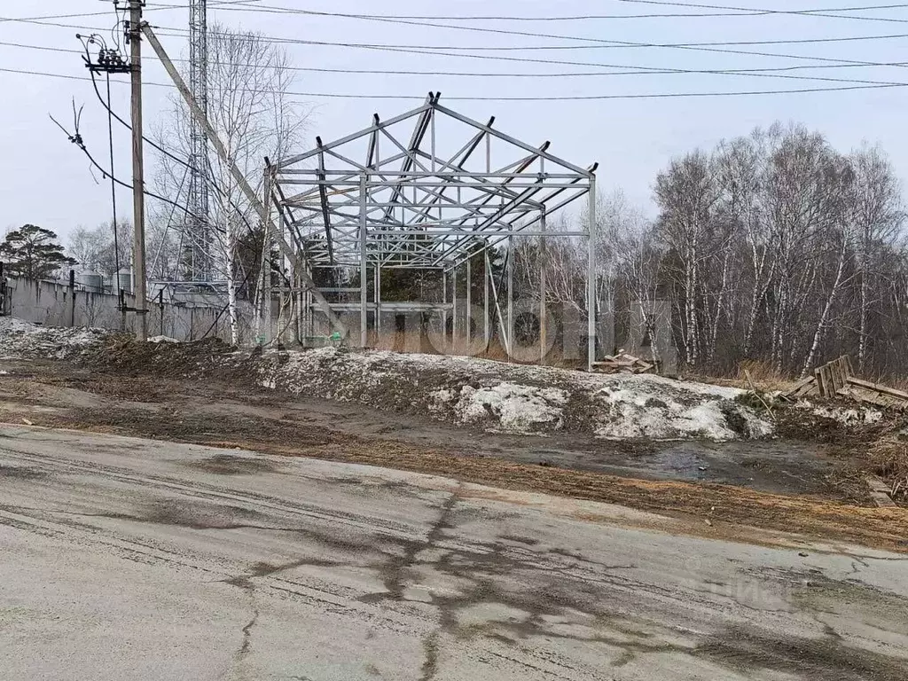 Участок в Новосибирская область, Новосибирский район, с. Барышево ... - Фото 0