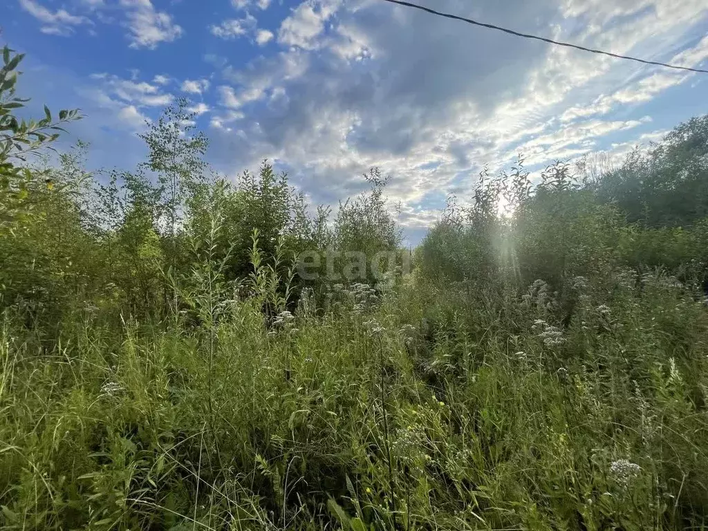 Участок в Кировская область, Киров городской округ, д. Эсауловы  (11.0 ... - Фото 0