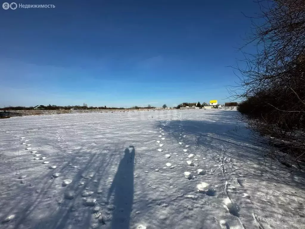 Участок в село Медвежье, Полевая улица (20 м) - Фото 0