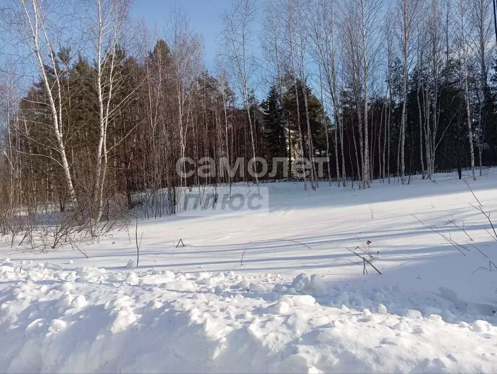 Участок в Томская область, Томский район, д. Головина  (20.0 сот.) - Фото 1