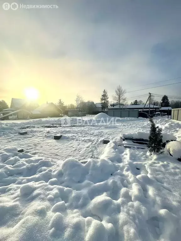 Участок в посёлок Пушное, проезд Лесные Покосы (14.55 м) - Фото 2