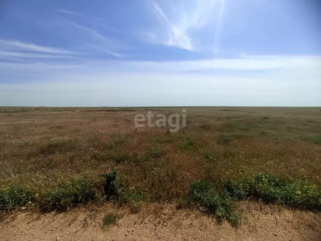 Участок в Крым, Черноморский район, с. Окуневка ул. Крупской (348.0 ... - Фото 0