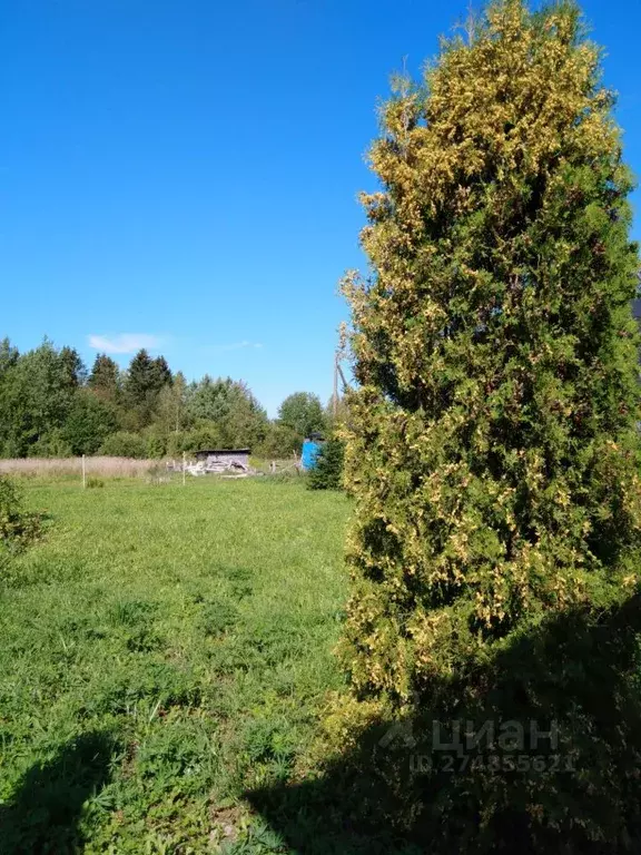 Участок в Ленинградская область, Тосненский район, Любанское городское ... - Фото 0