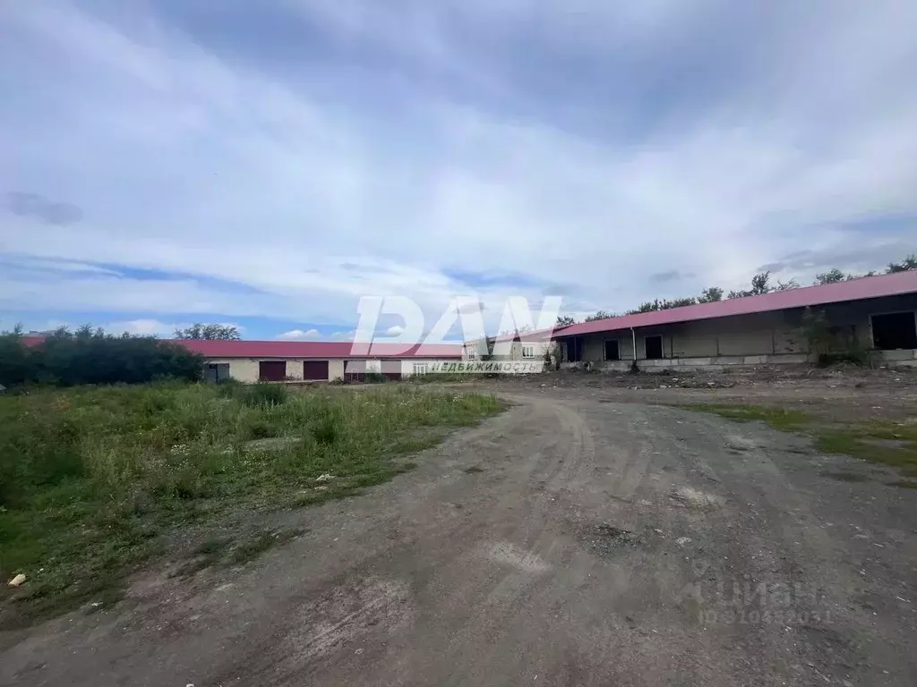 Склад в Челябинская область, Троицк Подгорная ул., 2 (3300 м) - Фото 2