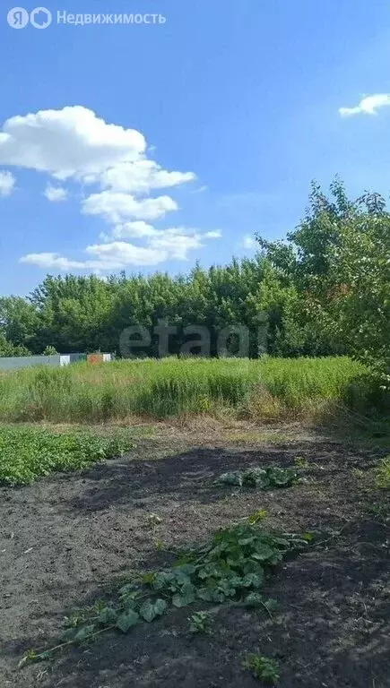 Участок в Воронеж, микрорайон имени Будённого, Ароматная улица (8 м) - Фото 2