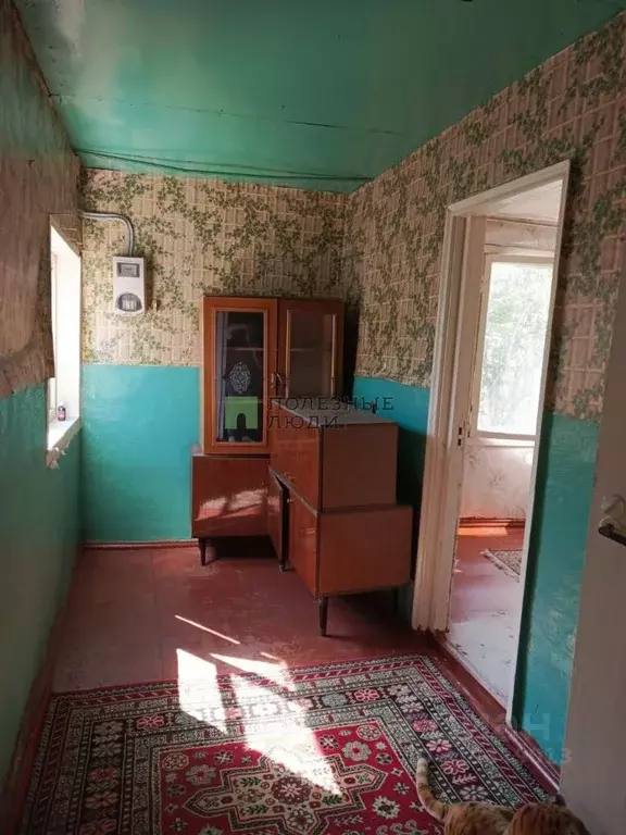 Дом в Воронежская область, Воронеж Славянка СНТ, ул. Хризантемная, 127 ... - Фото 0