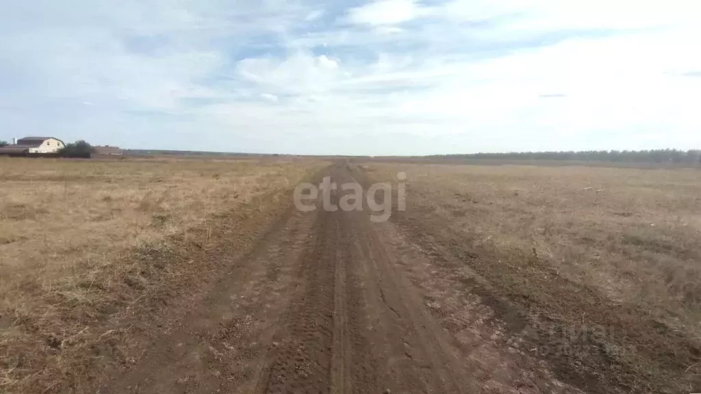 Участок в Тамбовская область, Тамбовский муниципальный округ, с. ... - Фото 1