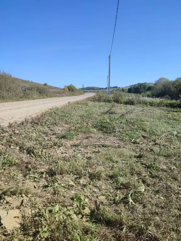 Участок в Пермский край, Чернушинский городской округ, д. Зверево ул. ... - Фото 1