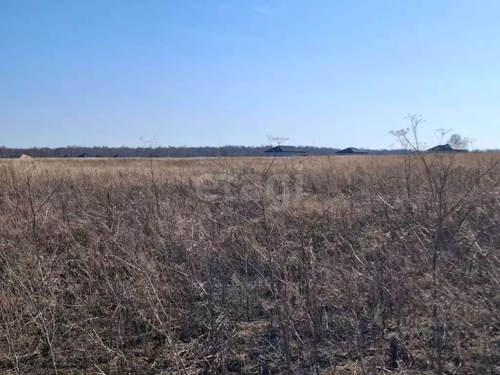 Участок в Тюменская область, Тюмень  (10.0 сот.) - Фото 1
