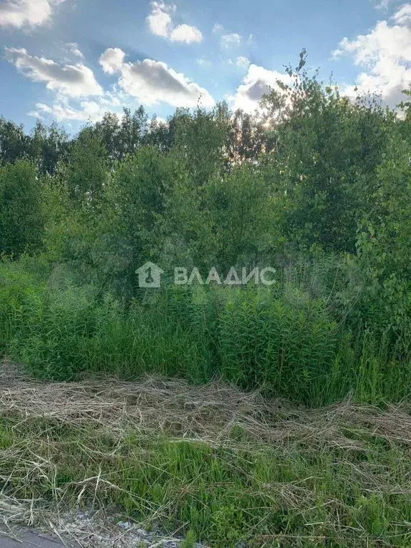 Участок 10 сот. (ИЖС) - Фото 0